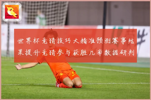 世界杯竞猜技巧大精准预测赛事结果提升竞猜参与获胜几率数据研判