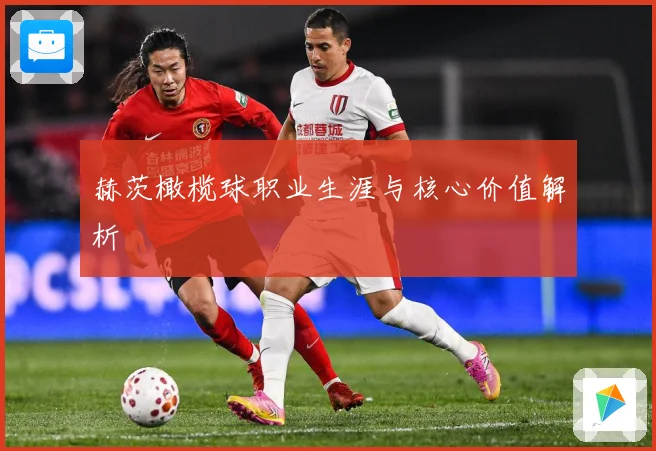 赫茨橄榄球职业生涯与核心价值解析