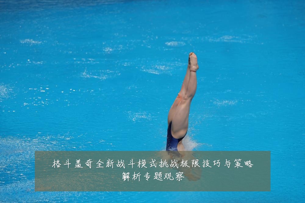格斗盖奇全新战斗模式挑战极限技巧与策略解析专题观察