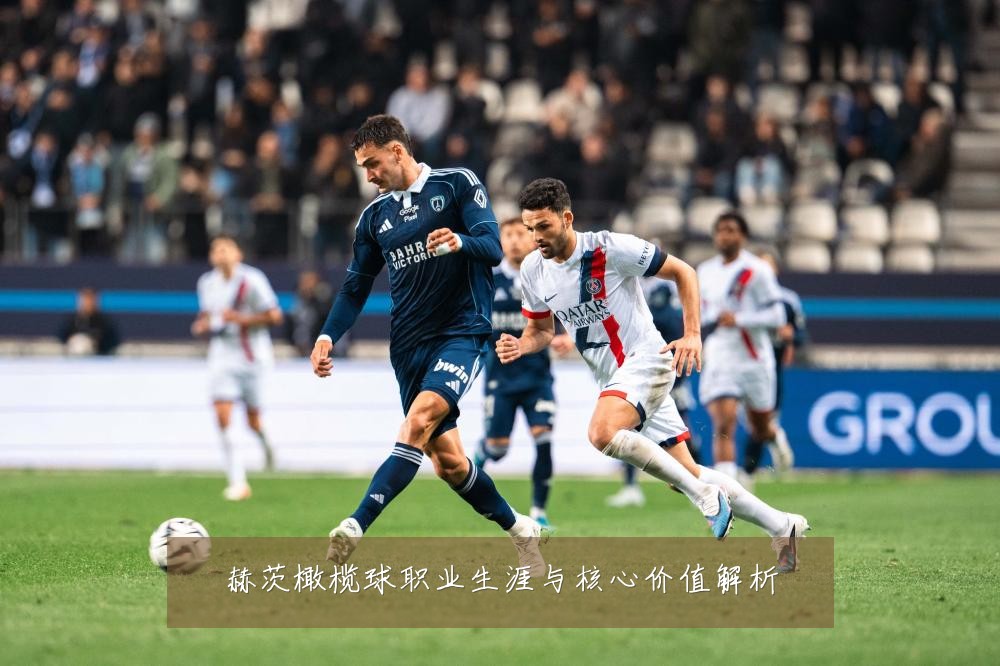赫茨橄榄球职业生涯与核心价值解析